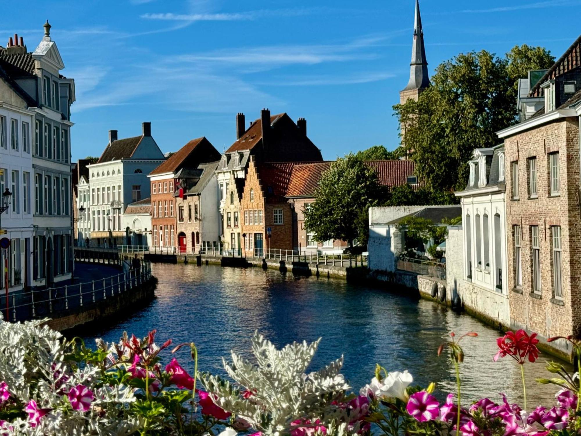 Sleeping Swan Bed & Breakfast Brugge Eksteriør bilde